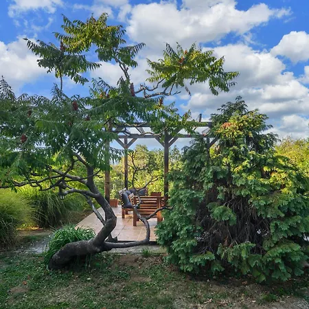 别墅 Kings Hill - Family Retreat